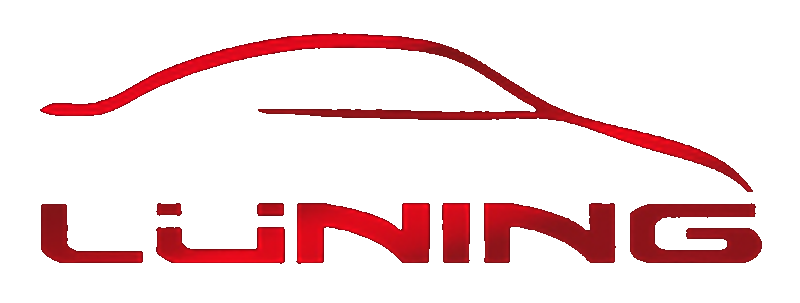 Fahrschule Lüning in Neumünster Logo
